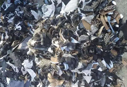 廢舊布料破碎機