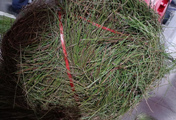 工業(yè)垃圾打包機(jī)