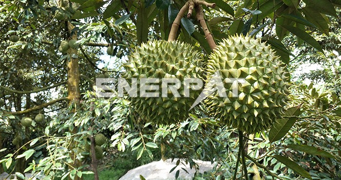 果蔬垃圾破碎機